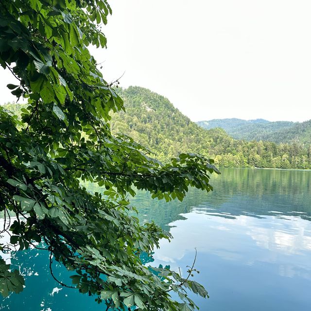 Zen time in Lake Bled