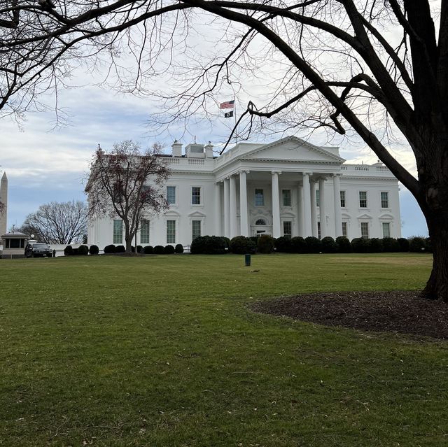 Strolling the Streets of D.C.