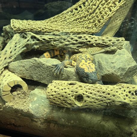 SeaLife of my family Arizona