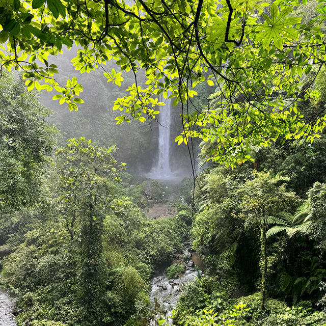 "Discovering Paradise: A Journey to Sekumpul