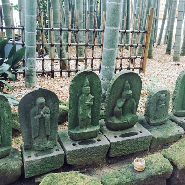 【神奈川県🇯🇵報国寺】竹林が有名な報国寺☺️マイナスイオンに癒されながらお抹茶で小休憩🍵