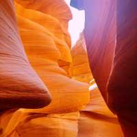 Horseshoe Bend 亞利桑那 獨旅🌟🫧