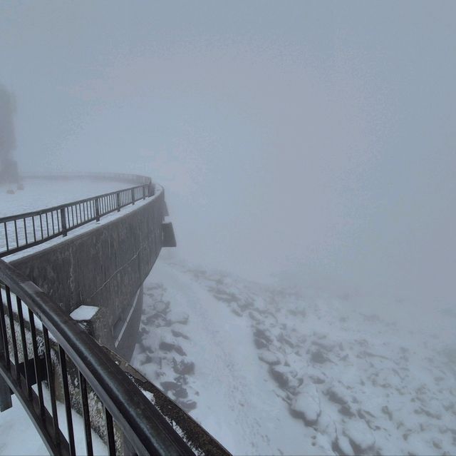 white mountain already winter