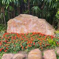 Yuexiu park 🏞 a place for relaxing and meditation❤️