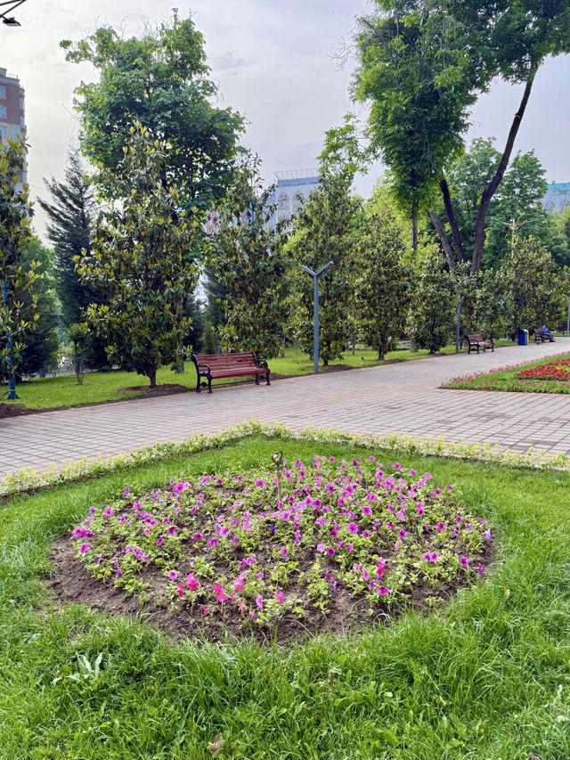 Spring Serenity at Alisher Navoi Park, Dushanbe