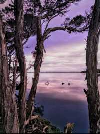 Anson's Bay Tasmania natures masterpiece