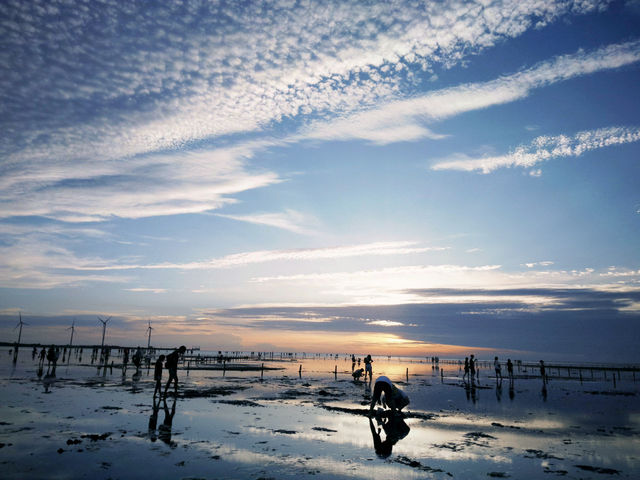 高美濕地：一場與天空之鏡的浪漫邂逅 ✨