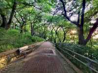 Walk仁川自由公園