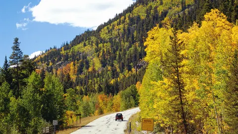 🇺🇸 Colorado | A gentle mountain breeze stirs the willows, turning them golden. — traveler post in Denver