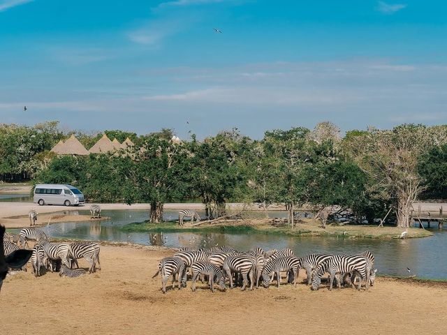 Great day at Safari World Bangkok 🦏