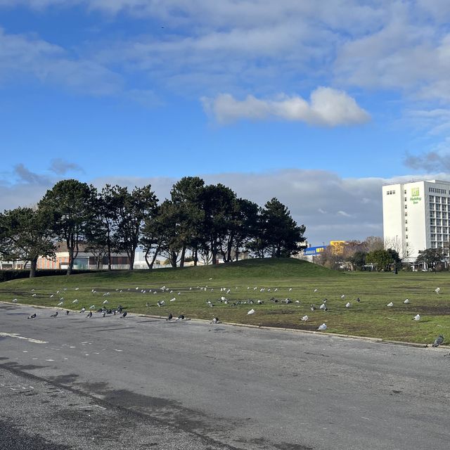 南安普頓Mayflower Park