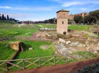 Circus Maximus: Legendary Chariot Racing Arena