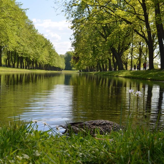 Schloss Garden… gorgeous Schwerin!