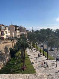 Cathedrals Palma