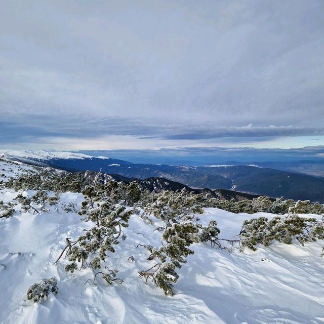 Skiing in Borovets