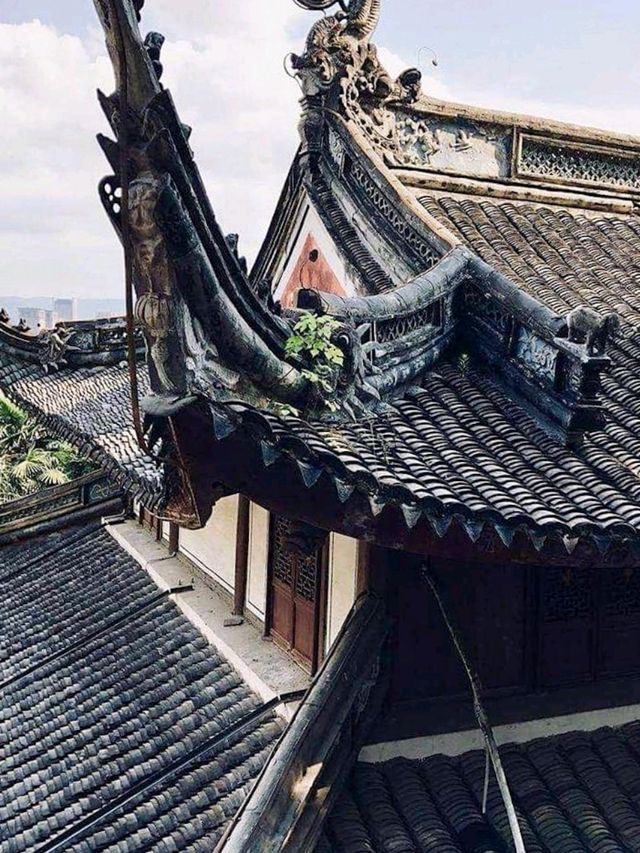 Yuyao, China 🇨🇳