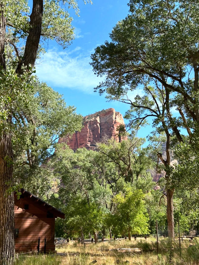 A visit to the National Park 🇺🇸