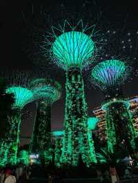Garden by the bay Singapore 🇸🇬 