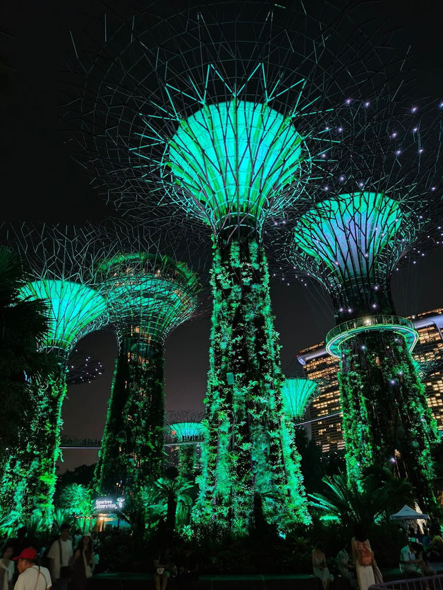 Garden by the bay Singapore 🇸🇬 