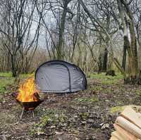 Camping in Hampshire 🏕️