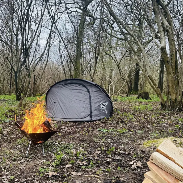 Camping in Hampshire 🏕️