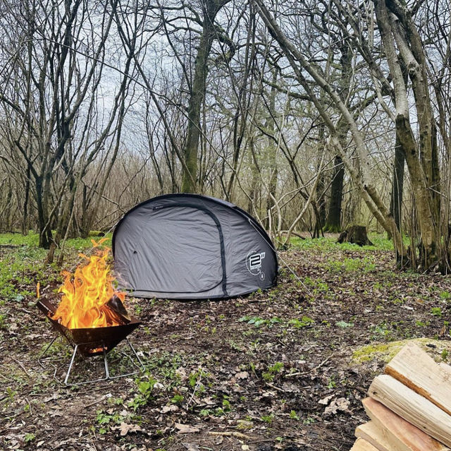 Camping in Hampshire 🏕️