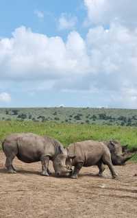 Exploring Nairobi: A Perfect Blend of Adventure, Culture, and Cuisine