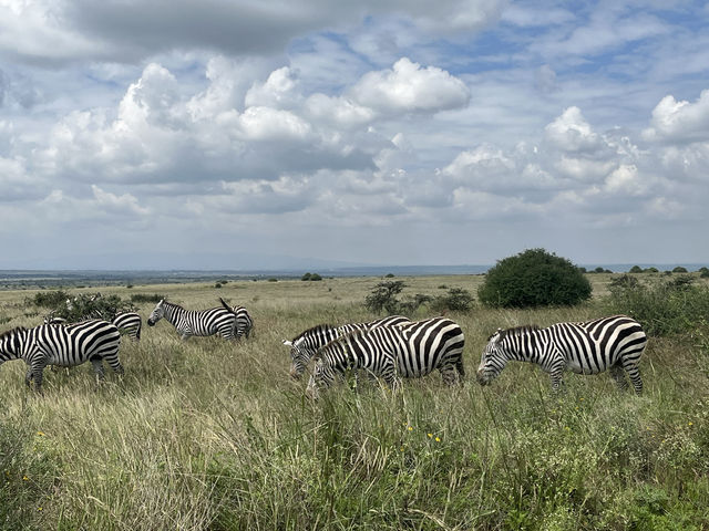 Exploring Nairobi: A Perfect Blend of Adventure, Culture, and Cuisine