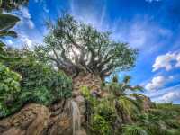 Walt Disney World Resort: The adventure that you will not forget!