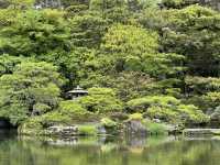 The Kyoto Imperial Palace (京都御所, Kyōto Gosho)