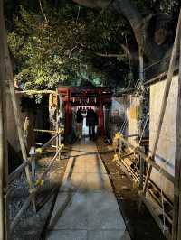 Hidden Shinjuku gems! 