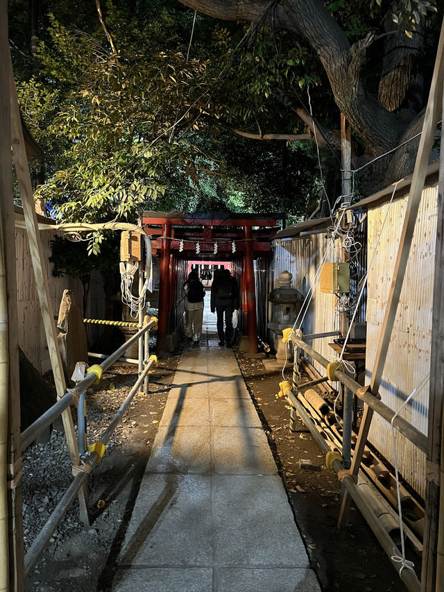 Hidden Shinjuku gems! 