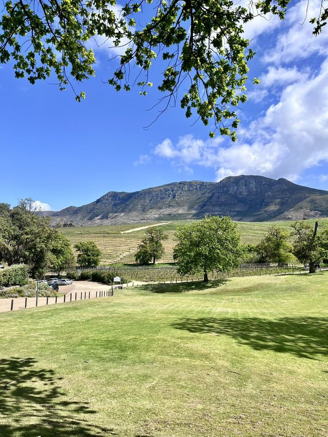Groot Constantia Wine Route 🍷