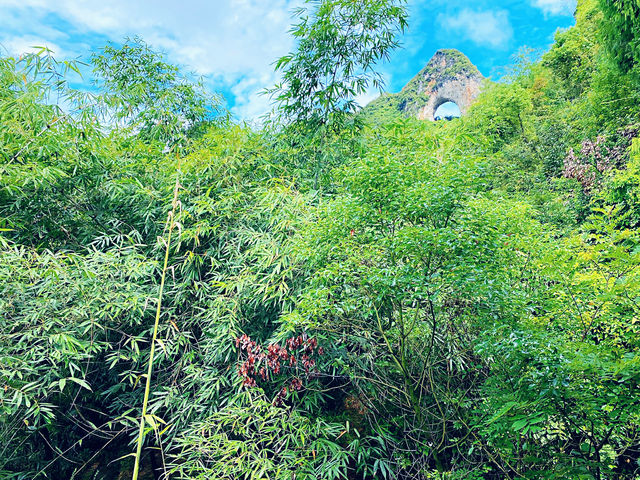 🌿 I Thought I’d Seen Beautiful – Then I Found Yangshuo 🇨🇳