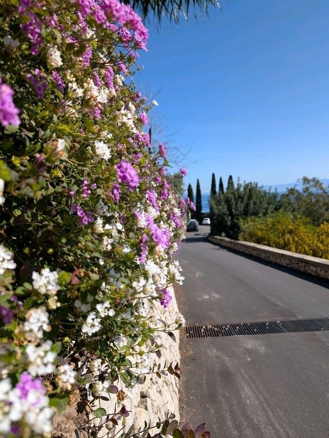 spring walk