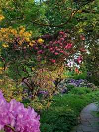 🌳 Hanover: Where Royal Gardens Meet Modern Rhythm 