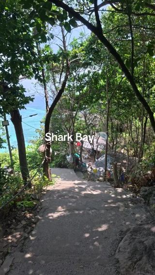 🌊 Shark Bay: A Snorkeler’s Paradise in Koh Tao 🇹🇭✨
