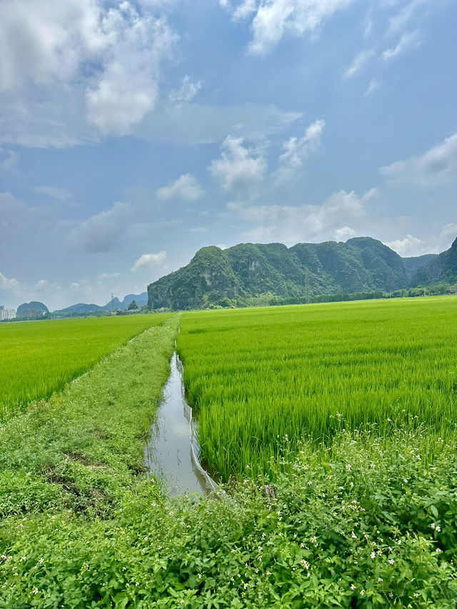 Hang Múa and Ninh Bình: The Hidden Gem of Vietnam You Need to See (and How to Get There Easily)
