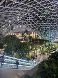✈️🌟 Hamad International Airport – The Gateway to the Future in Doha, Qatar 🌟✈️