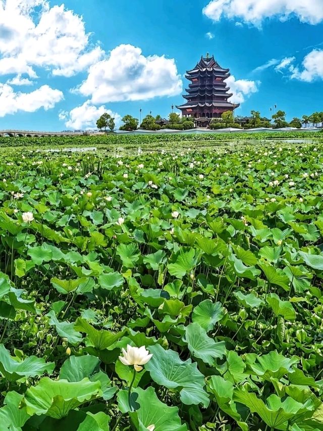 🛕 Chongyuan Temple – Suzhou’s Grand Lakefront Sanctuary