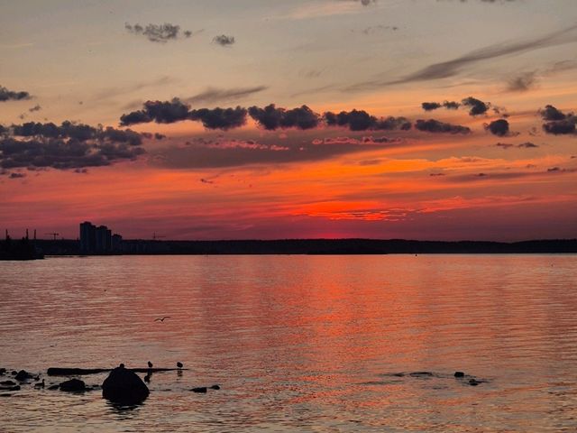 🌅 White Nights Magic in Karelia – Why You Must Visit Petrozavodsk’s Embankment This Summer