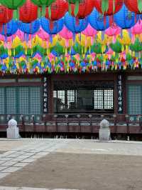 Get Ready to discover the hidden wonders of Daegu!