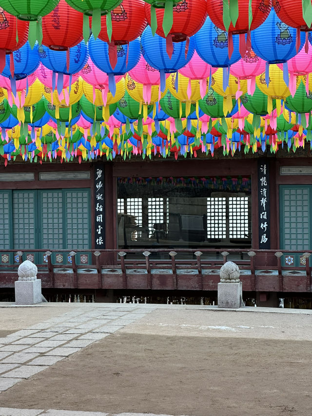 Get Ready to discover the hidden wonders of Daegu!