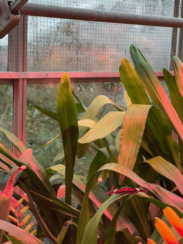 🌿 Copenhagen: Nature & Green Escapes