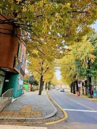 Seoul in Autumn: A Kaleidoscope of Colors 🇰🇷  