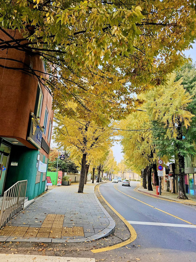 Seoul in Autumn: A Kaleidoscope of Colors 🇰🇷  