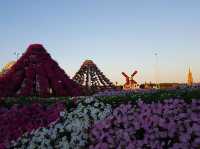 Where Dreams Bloom: Dubai Miracle Garden 🇦🇪