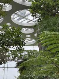 Shanghai Greenhouse Garden: Two Worlds in One Oasis