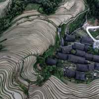 The Stunning Rice Fields!