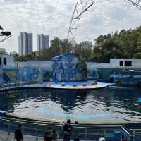 Fun experience at Shenzhen Safari Park